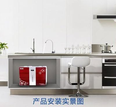 蘋果八代新款RO機(jī)凈水器 家用純水機(jī)的價格與廠家解析